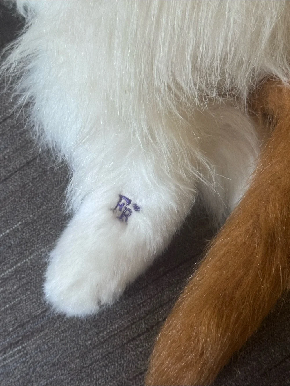 Vintage Furreal Friends Realistic Cat Companion Toy- Works!